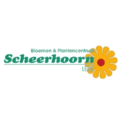 Scheerhoorn Bloemen Leek